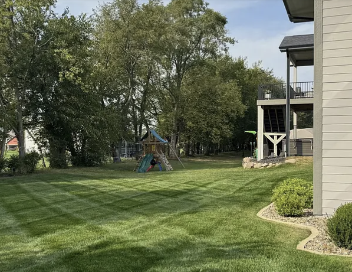 Why Choose Our Lawn Maintenance? hero image