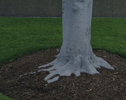Yard Cleanup and Mulching